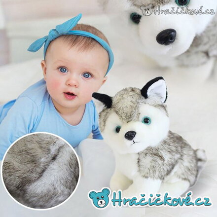 Plyšový pejsek Husky Kawaii 18 cm | Roztomilý plyšák husky