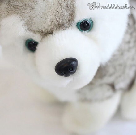 Plyšový pejsek Husky Kawaii 18 cm | Roztomilý plyšák husky
