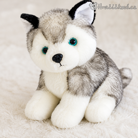 Plyšový pejsek Husky Kawaii 18 cm | Roztomilý plyšák husky