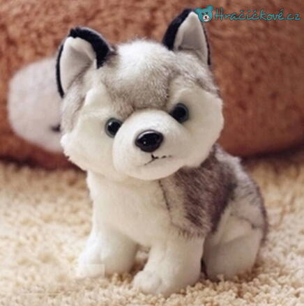 Plyšový pejsek Husky Kawaii, vel. 18cm 